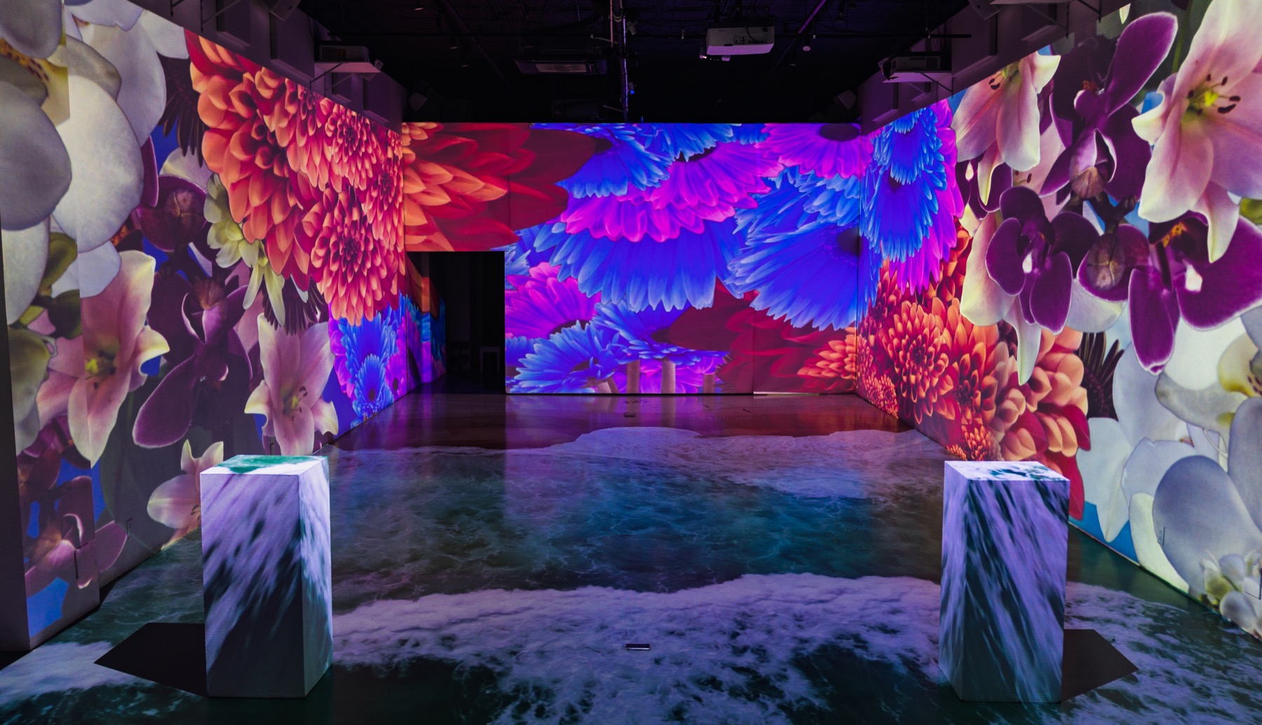Projected florals across the walls and floor of a NYC shoot location