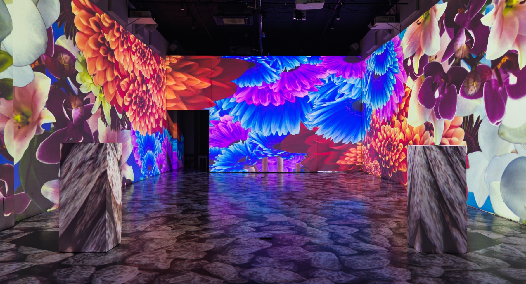 Projected florals with a pebble floor projection